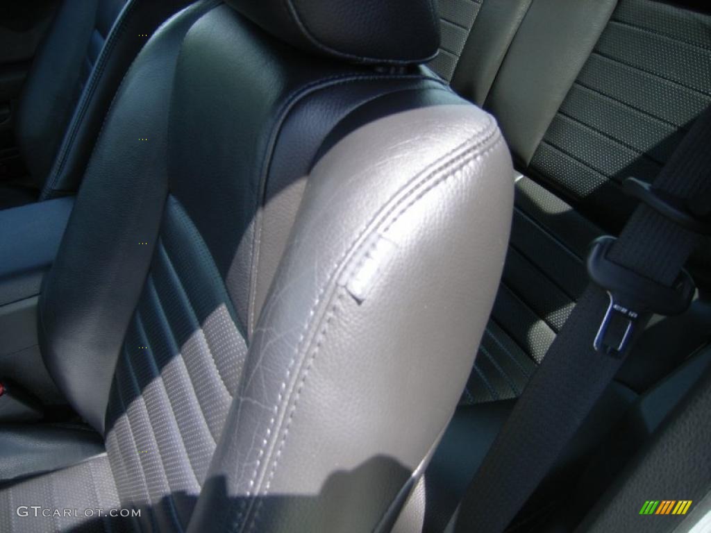 2009 Mustang GT Premium Coupe - Brilliant Silver Metallic / Dark Charcoal photo #10