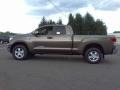 2010 Pyrite Brown Mica Toyota Tundra SR5 Double Cab 4x4  photo #20