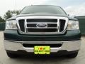 2008 Forest Green Metallic Ford F150 XLT SuperCrew  photo #9