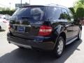 Black - ML 350 4Matic Photo No. 2