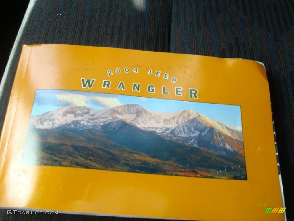 2004 Wrangler X 4x4 - Black / Dark Slate Gray photo #27