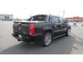 Black Raven - Escalade EXT AWD Photo No. 6