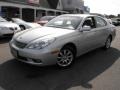 Millennium Silver Metallic - ES 300 Photo No. 1