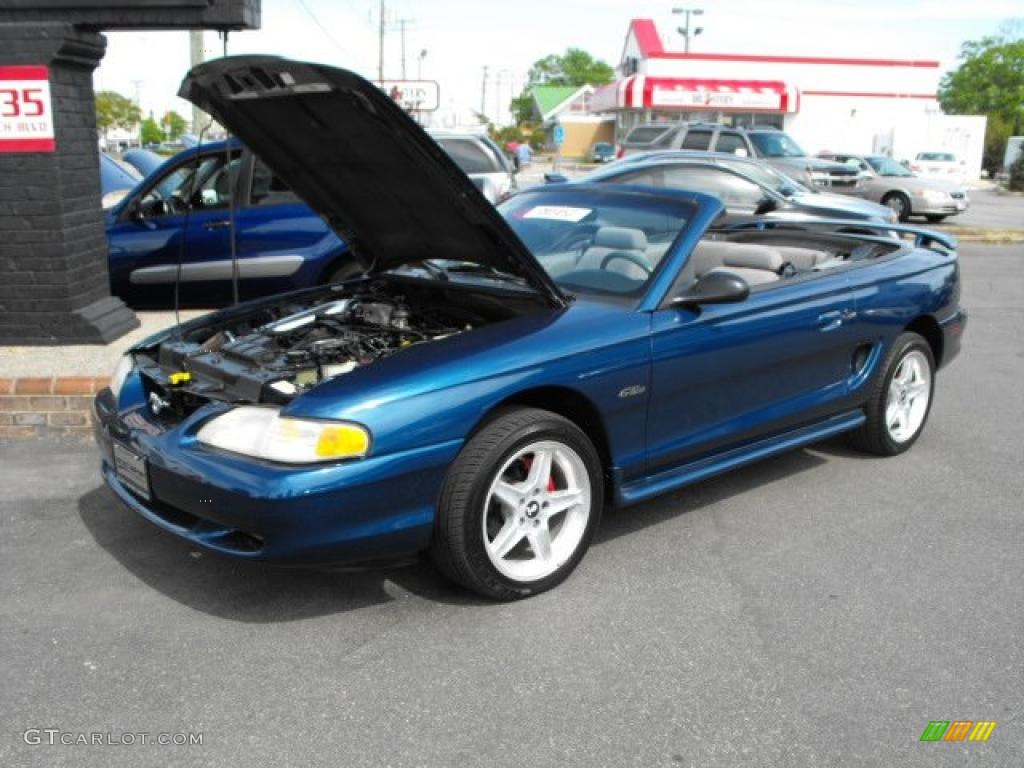Dark Blue Mustang