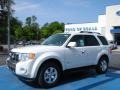 White Suede 2010 Ford Escape Hybrid Limited