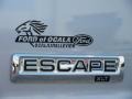 2010 Ingot Silver Metallic Ford Escape XLT V6  photo #4