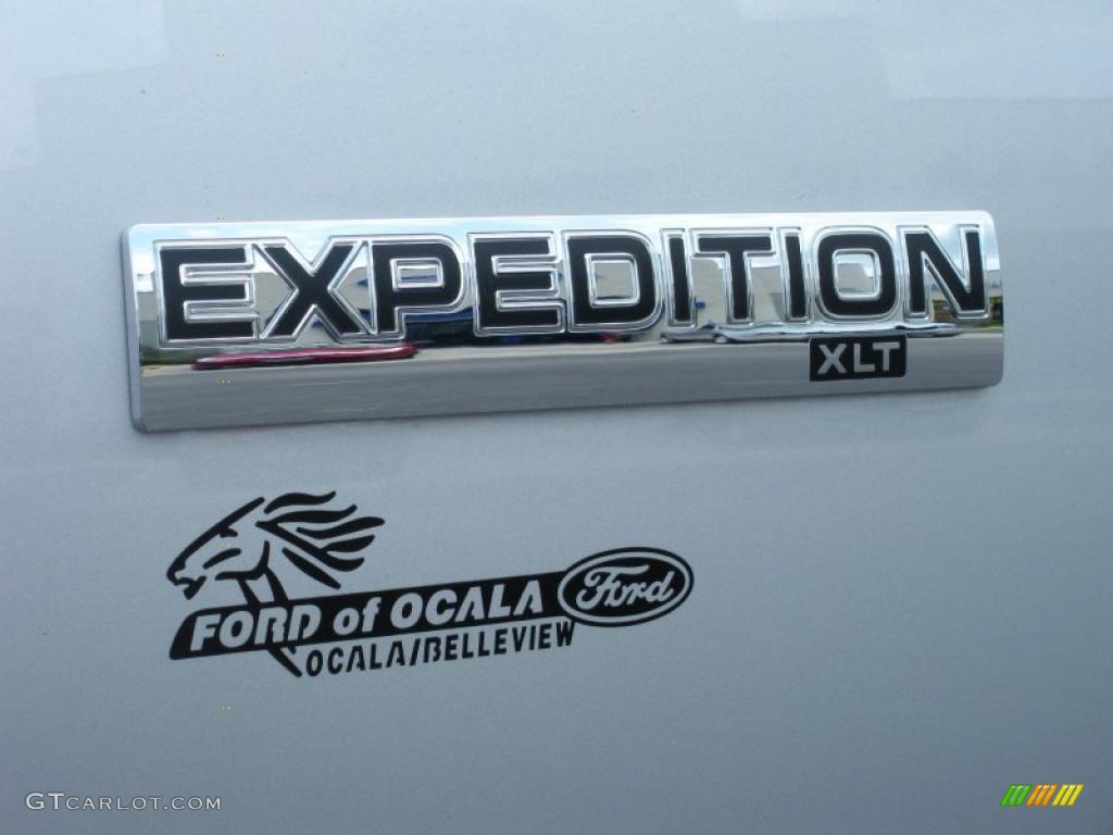 2010 Expedition XLT - Ingot Silver Metallic / Stone photo #4
