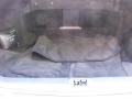 Diamond Graphite Metallic - M 35x Sedan Photo No. 25
