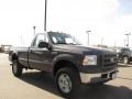 2005 Dark Shadow Grey Metallic Ford F350 Super Duty XL Regular Cab 4x4  photo #7