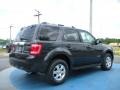 2010 Black Pearl Slate Metallic Ford Escape Hybrid Limited  photo #3