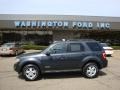 2008 Black Pearl Slate Metallic Ford Escape XLT V6 4WD  photo #1