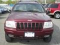 Sienna Pearl - Grand Cherokee Limited 4x4 Photo No. 25