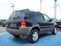 2002 True Blue Metallic Ford Escape XLT V6 4WD  photo #5