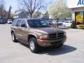 2000 Sierra Bronze Metallic Dodge Durango SLT 4x4  photo #2