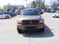 2000 Sierra Bronze Metallic Dodge Durango SLT 4x4  photo #3