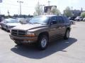 2000 Sierra Bronze Metallic Dodge Durango SLT 4x4  photo #4