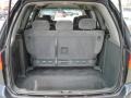 2004 Sage Brush Pearl Honda Odyssey EX  photo #7