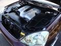 Black Cherry Pearl - LS 430 Photo No. 29