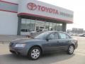Willow Gray - Sonata GLS Photo No. 1