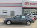 Willow Gray - Sonata GLS Photo No. 2