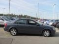 Willow Gray - Sonata GLS Photo No. 6