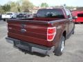 2010 Royal Red Metallic Ford F150 XLT SuperCrew 4x4  photo #3