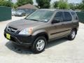 Mojave Mist Metallic - CR-V LX Photo No. 7