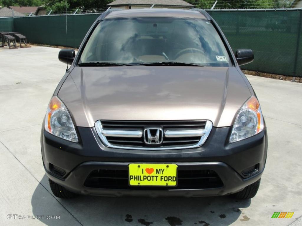 2004 CR-V LX - Mojave Mist Metallic / Saddle photo #8