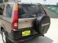 Mojave Mist Metallic - CR-V LX Photo No. 24