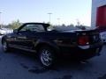 Black - Mustang V6 Deluxe Convertible Photo No. 3