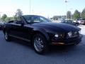 Black - Mustang V6 Deluxe Convertible Photo No. 6