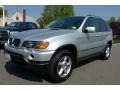 Titanium Silver Metallic - X5 3.0i Photo No. 7