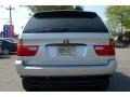 Titanium Silver Metallic - X5 3.0i Photo No. 12