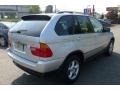 Titanium Silver Metallic - X5 3.0i Photo No. 14