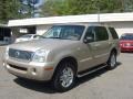 2004 Pueblo Gold Metallic Mercury Mountaineer V8 Premier AWD  photo #9