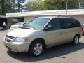 Linen Gold Metallic - Grand Caravan SXT Photo No. 8