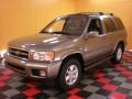 2001 Bronzed Gray Metallic Nissan Pathfinder LE 4x4  photo #3