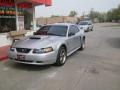 2001 Silver Metallic Ford Mustang GT Coupe  photo #6