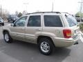 Champagne Pearlcoat - Grand Cherokee Limited 4x4 Photo No. 4