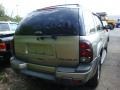 Light Pewter Metallic - TrailBlazer LS 4x4 Photo No. 2