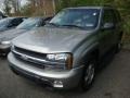 Light Pewter Metallic - TrailBlazer LS 4x4 Photo No. 5