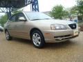 2006 Champagne Beige Hyundai Elantra GLS Sedan  photo #7