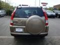 2006 Sahara Sand Metallic Honda CR-V SE 4WD  photo #3