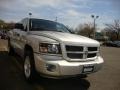 Bright Silver Metallic - Dakota Big Horn Extended Cab 4x4 Photo No. 15