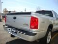 Bright Silver Metallic - Dakota Big Horn Extended Cab 4x4 Photo No. 21