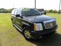 Black Raven - Escalade ESV AWD Photo No. 1