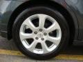 Dark Slate Metallic - Maxima 3.5 SL Photo No. 20