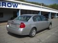 2006 Silverstone Metallic Chevrolet Malibu LS Sedan  photo #2