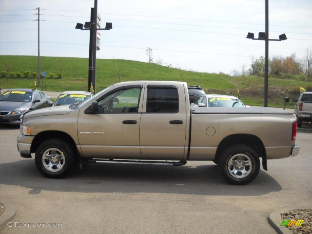 2003 Ram 1500 SLT Quad Cab 4x4 - Light Almond Pearl / Gray photo #5