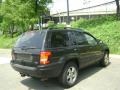 Brillant Black Crystal Pearl - Grand Cherokee Limited 4x4 Photo No. 7